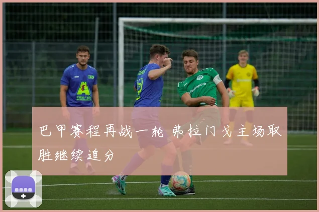 巴甲赛程再战一轮 弗拉门戈主场取胜继续追分