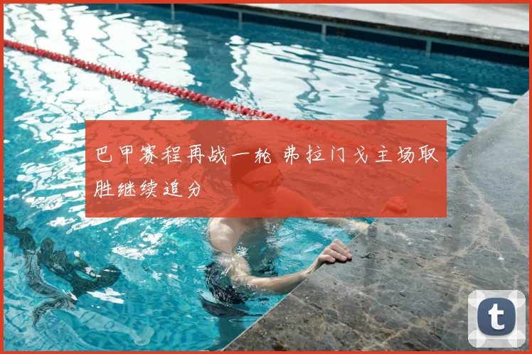 巴甲赛程再战一轮 弗拉门戈主场取胜继续追分
