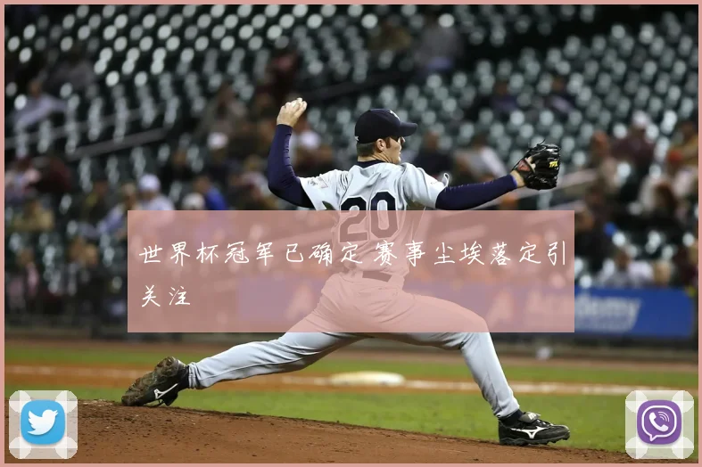 世界杯冠军已确定 赛事尘埃落定引关注