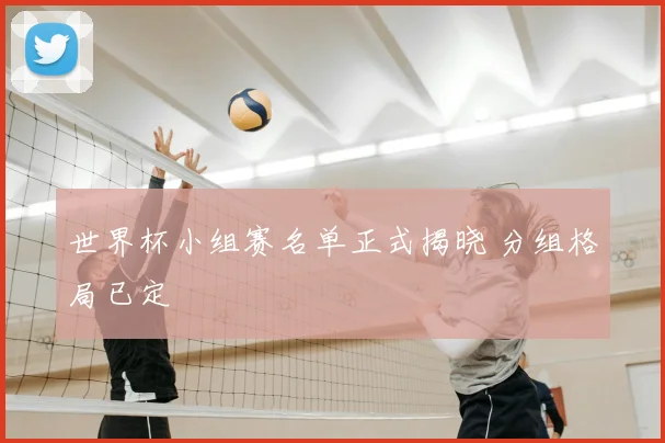 世界杯小组赛名单正式揭晓 分组格局已定