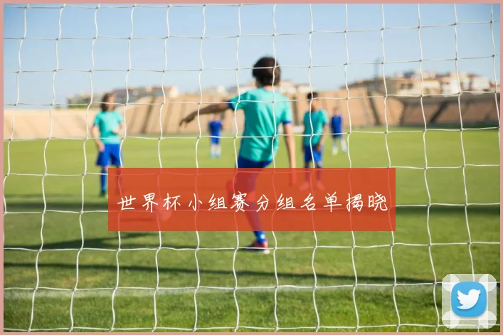 世界杯小组赛分组名单揭晓
