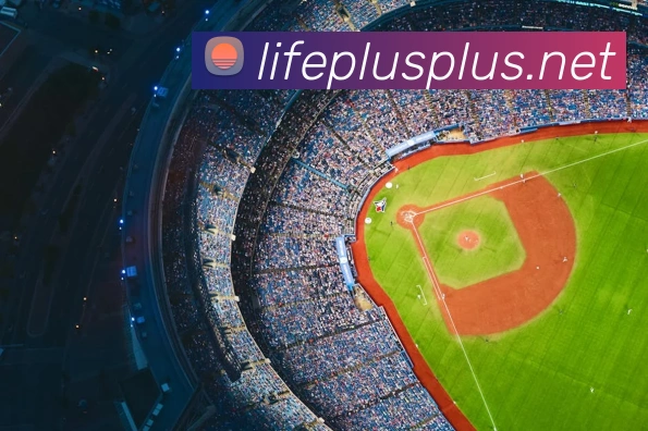 App Interface Preview