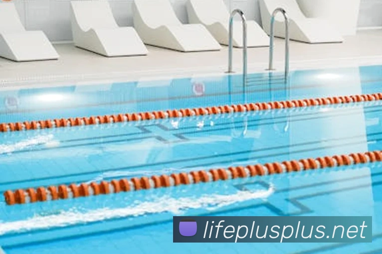 世界杯平台官网登录APP 封面图